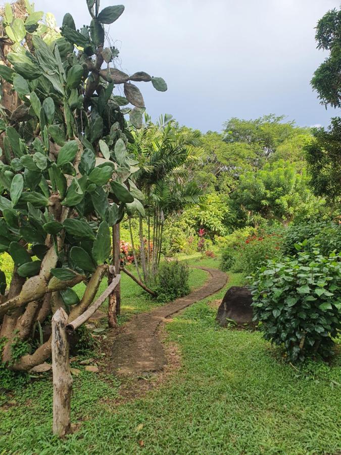 El Encanto Garden Hotel Santa Cruz Buitenkant foto